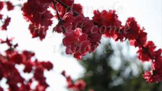 Automatic Loveletter - Unhearted. (w/ Lyrics.)