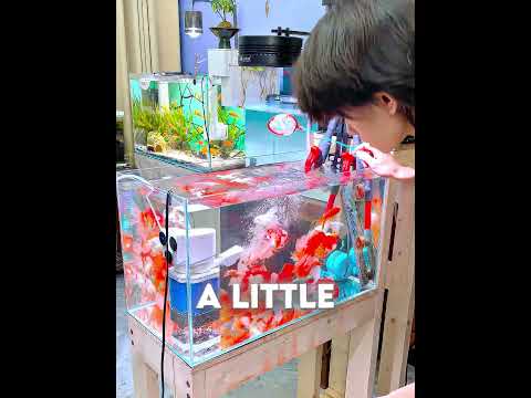 this man thought he ruined his fish tank 😳🐟 #usa