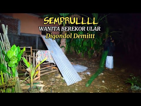 Kecolongan!! seorang pria n3kat bawa paksa wanita cantik berekor ular - siluman ular