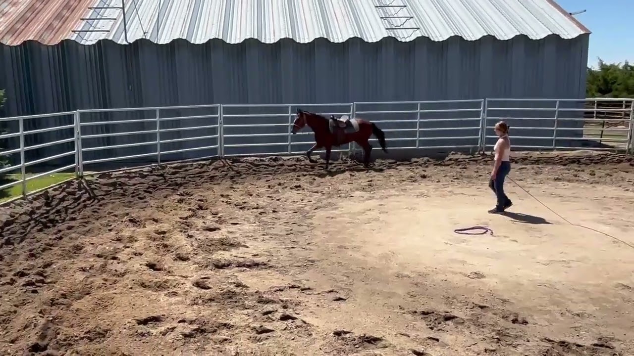 Mama Mia's High Octane — Video 1