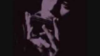 G. Love and Special Sauce - "Free at Last"