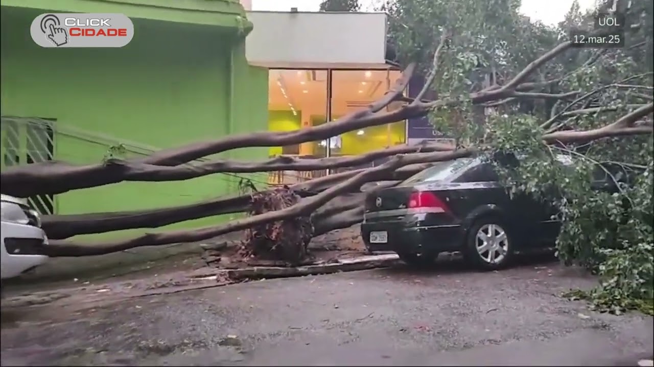 Thumbnail do YouTube