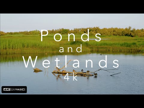 Ponds and Wetlands 4k (Ultra HD)⎜Relaxing Music⎜Earth from Above⎢Trees, Mountains, Lakes and Seas 4k