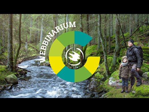 Webbinarium: Skogens roll i klimatomställningen