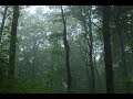FREE Bktherula Type Beat Tsushima Prod Wikee Egortext
