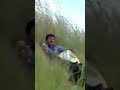 Aivaril Oruvar Arjunan Devi Neethan Video Song Jayaram Samvritha Sunil
