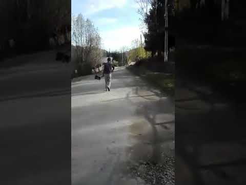 Comuna Bradulet sat Brădetu