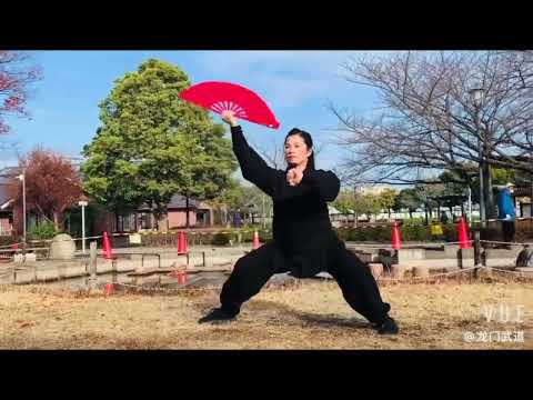 Taiji Gong Fu Shan (éventail)