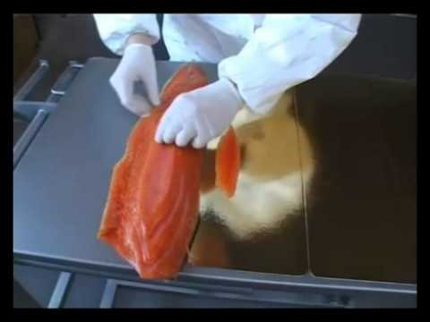 marel CP LS 650-45 Horizontal Fish Salmon Slicer.mp4