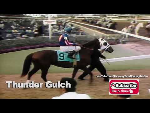 1995 FLORIDA DERBY SERIES: FOUNTAIN OF YOUTH STAKES   THUNDER GULCH STAKES HIS CLAIM