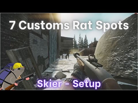 7 Customs Rat Spots To Complete SETUP