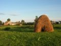Apvedceļš - Zemenes (ar vārdiem) 