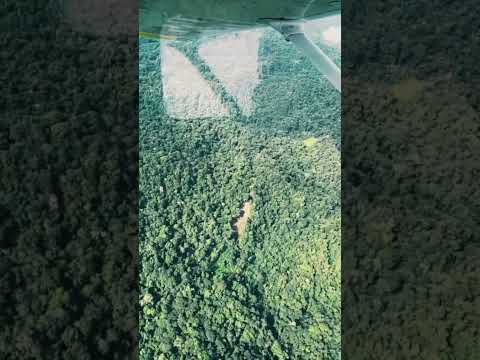 OBJETO MISTERIOSO CAUSA GRAN EXPLOSIÓN EN SELVA Notiamazonia