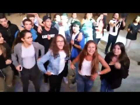 [ Cordosom ] Vilarelho da Raia