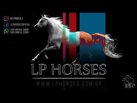 MJ ROOSTERS GUN x DYNASTY BLUE YM