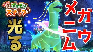 邂逅光るメガニウム！イルミナポケモンに迫れ！【Newポケモンスナップ】