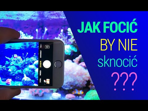(162) Jak focić by nie sknocić? - Akwarium morskie - Reef aquarium