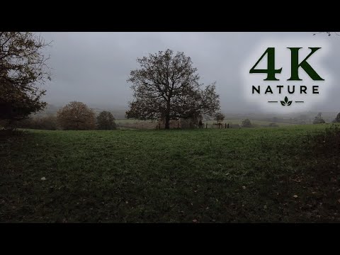 The fog rests on the horizon during an autumn adventure
