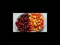 top 3 production area of cherries #cherries#production#sweet cherry#USA#Iran#turkey#feedshorts#news