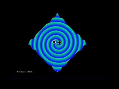 🎼 Can We Work It out - CLNGR NeiNei 🎧