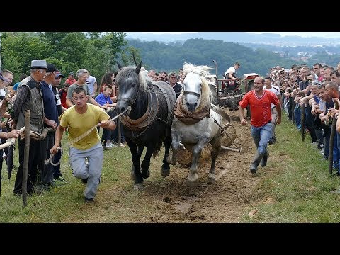 Štraparijada kod Fabe  - 17.06.2018.