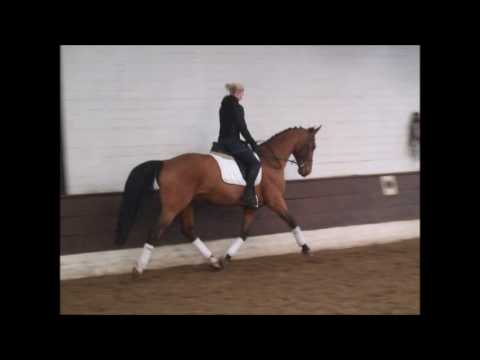 QUE-SERA 10j Wall. M-Spr. platziert -for sale- VB 12.000,- Euro