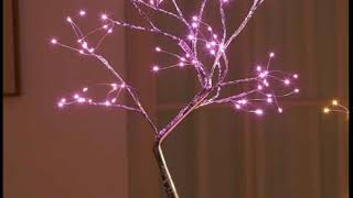 ✨THE FAIRY LIGHT SPIRIT TREE✨