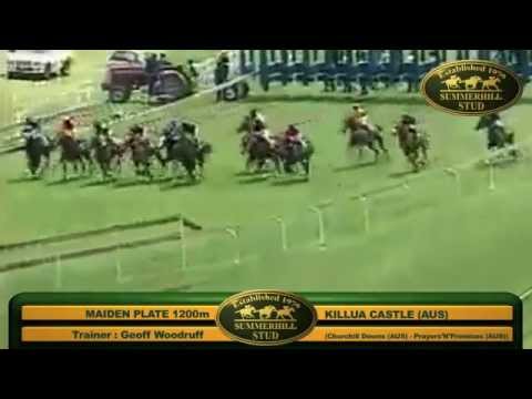 KILLUA CASTLE : 2011 SUMMERHILL READY TO RUN GRADUATE