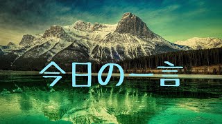 今日の一言 15