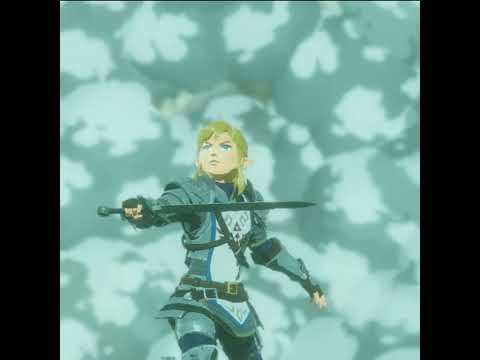 Link VS Revali! Gotta admit, Revali has moves! #legendofzelda #zelda #hyrulewarriors  #aoc