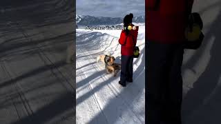 The end #funny #duet #hilariousfails #funnyfail #fail #funnyvideo