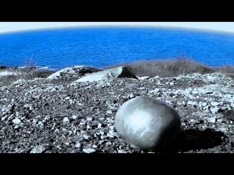 Thalamus - Blind (Official Video)