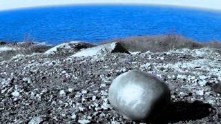 Thalamus - Blind (Official Video)