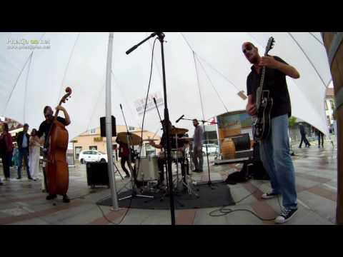 Usurper Slug @ Grossmann