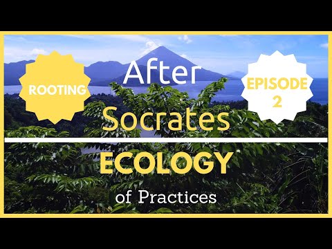 After Socrates' Ecology of Practices : Finding Your Root | Episode 2