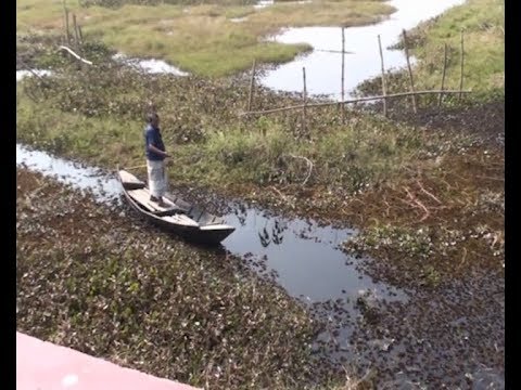 গোপালগঞ্জের কয়েক হাজার একর জমি ৩০ বছর ধরে অনাবাদি