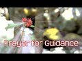 Prayer for Guidance and Direction