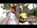 Prayer for Guidance and Direction - Prayerscapes Prayer for Guidance and Direction