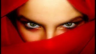 Schiller Show me the way  feat Moya Brennan