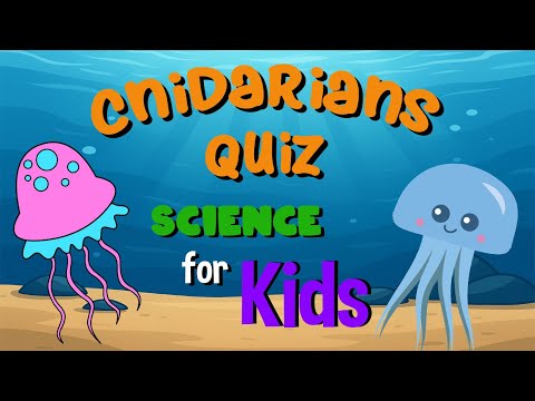 Cnidarians Quiz | Science for Kids