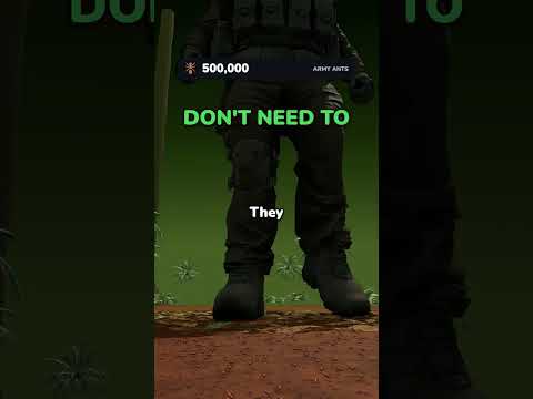 How Many Ants Does It Take to Beat the US Army?