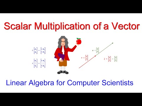 Linear Algebra for Computer Scientists 1 Introducing Vectors