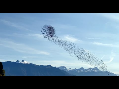 Hiking the length of Lake Geneva in four days