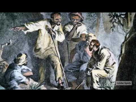 The Meritorious Manumission Act of 1710 Freed/Rewarded Slaves for snitching on a slave rebellion.