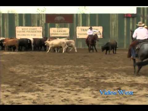 Straightshot Playgun