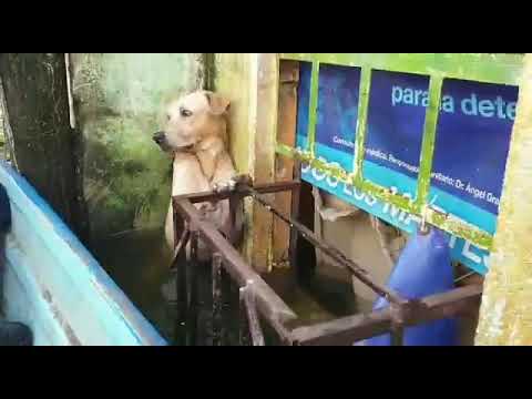 In a world when you can be anything, be kind❤ |