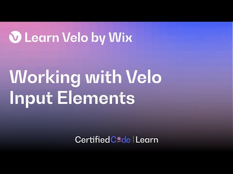 Getting Started with Velo Input Elements | Velo by Wix | English (CC)
