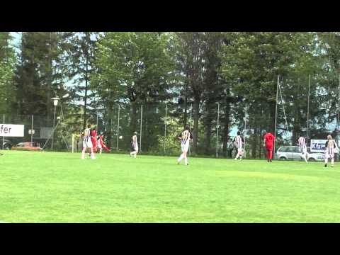 Stangenschuss - Hesina