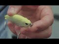 product video