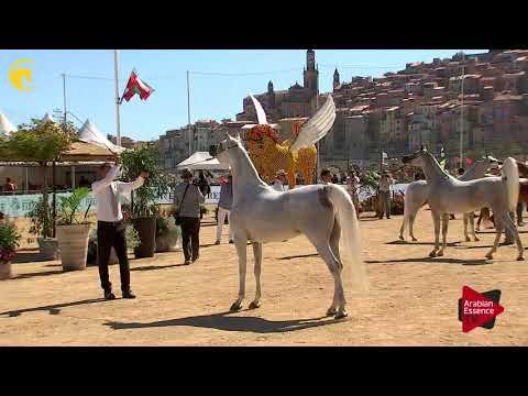 Menton 2017 - Mares Championship